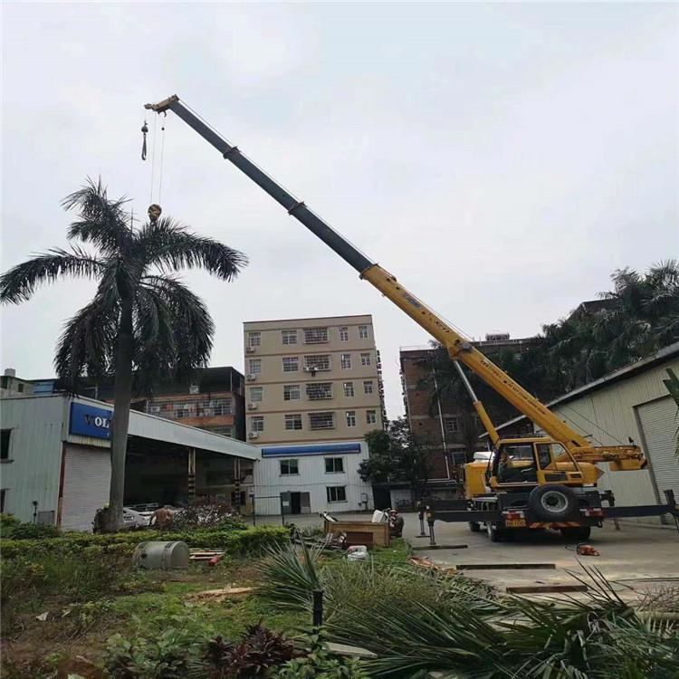 禹王台汽车吊出租多少钱？全面解析与市场行情